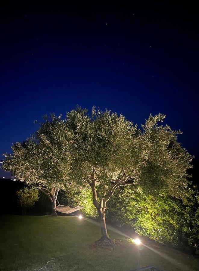 Villa Aurelia サン・テオドーロ エクステリア 写真
